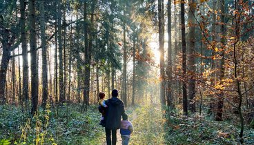 Vater mit zwei kleinen Kindern geht durch einen sonnigen Herbstwald