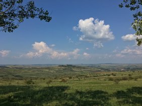 Grüne Sommerlandschaft mit weiß-blauem Himmel in Siebenbürgen