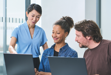 Zwei Mitarbeiter*innen sitzen vor Laptops, während eine dritte etwas erläutert | ©DVV