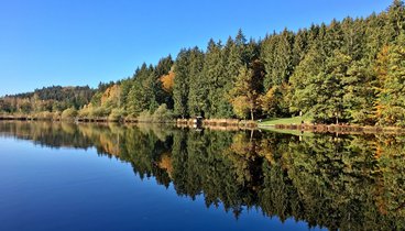 Herbstlicher Blick auf den Deininger Weiher und angrenzenden Wald, ©Franz Bader