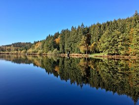 Herbstlicher Blick auf den Deininger Weiher und angrenzenden Wald, ©Franz Bader